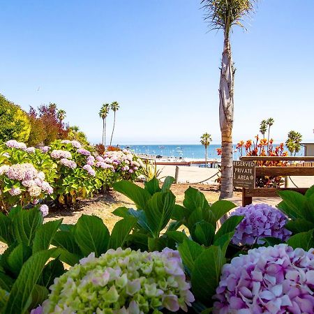 Edgewater Beach Inn Santa Cruz Zewnętrze zdjęcie