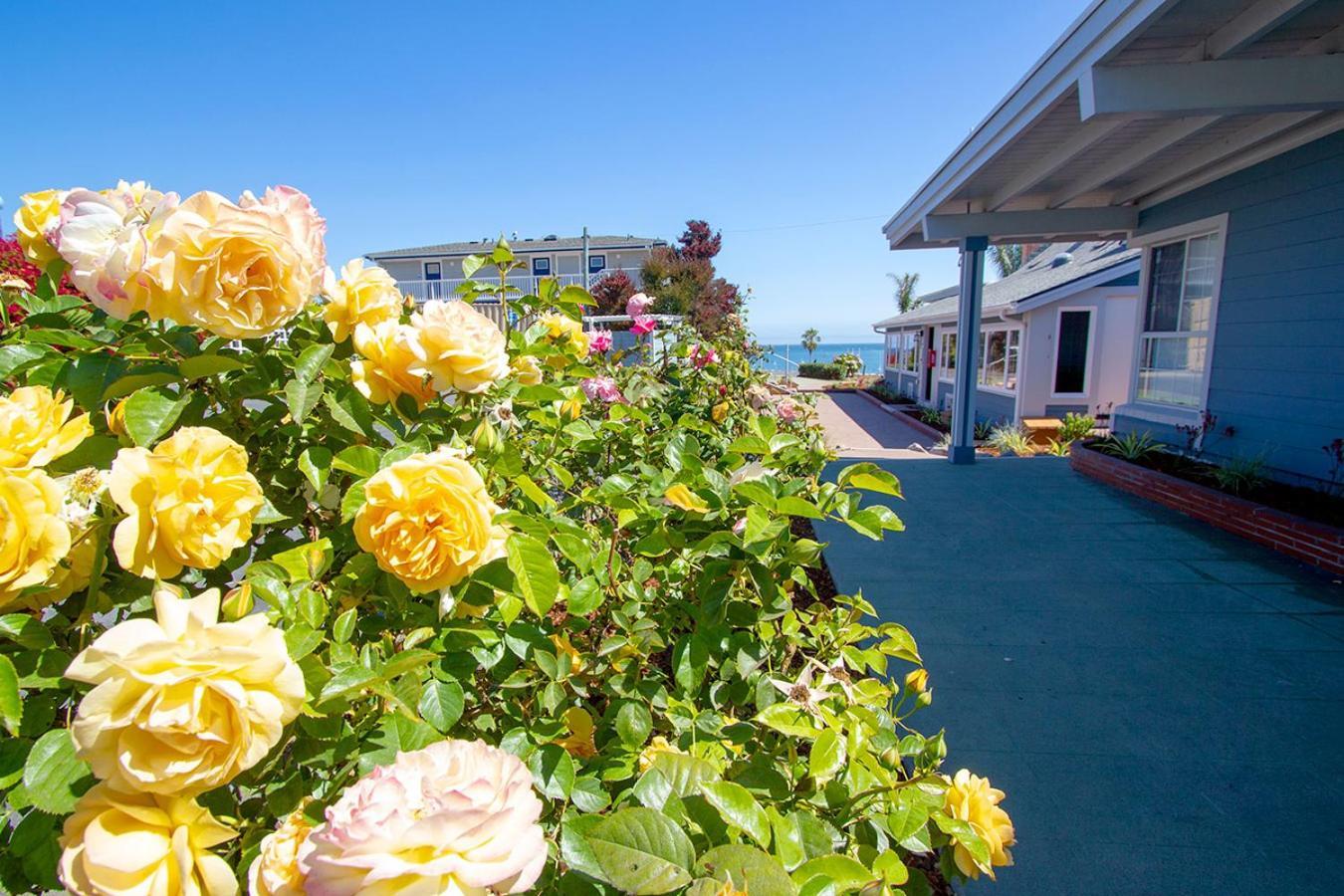 Edgewater Beach Inn Santa Cruz Zewnętrze zdjęcie